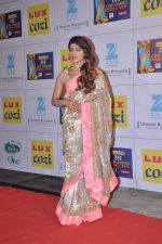 Priyanka Chopra at Zee Awards red carpet in Filmcity, Mumbai on 8th Feb 2014